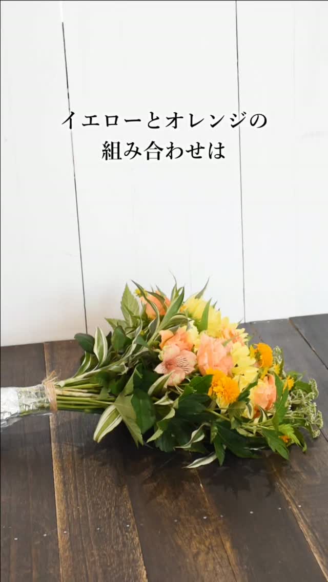 色相環で隣同士に並ぶ類似…