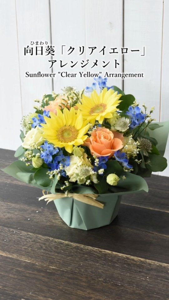 ヒマワリは花が咲く頃には…