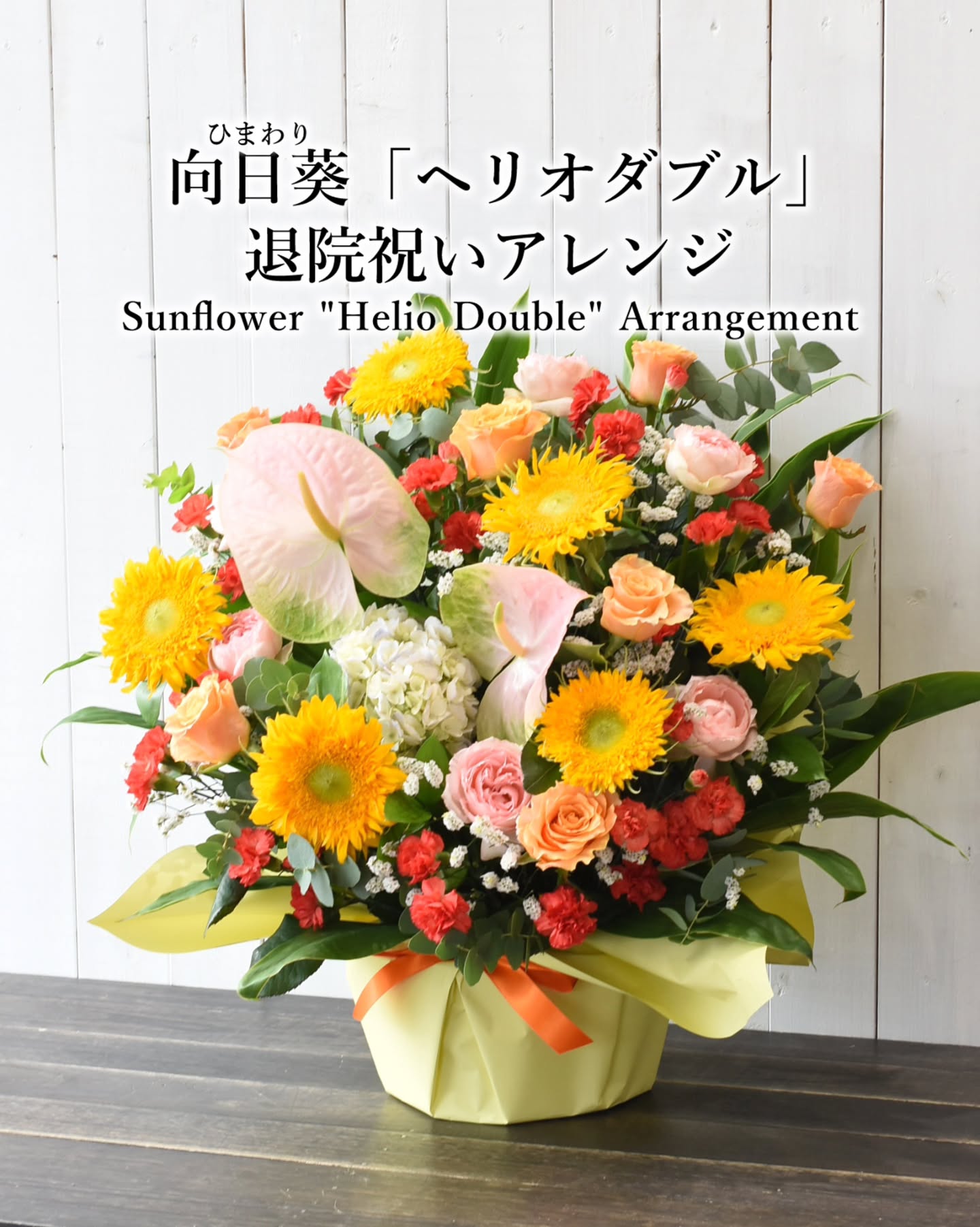 ヒマワリの品種は100種…