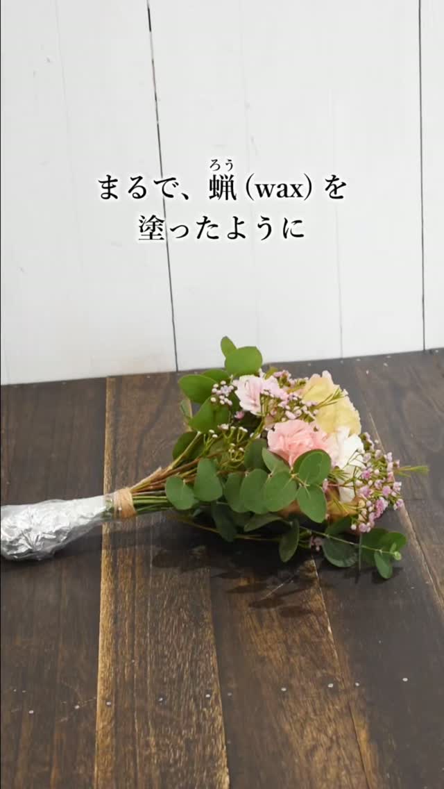 ワックスフラワーの花言葉…